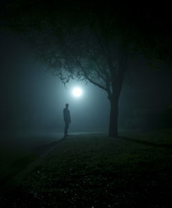 Silhouette man standing by tree on field at night