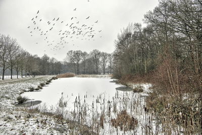 Scenic view of frozen lake against sky during winter