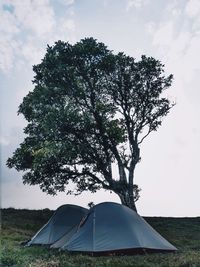 Tree on field against sky