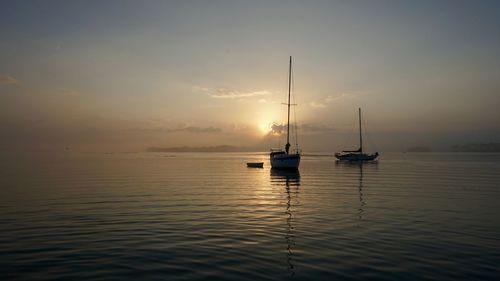 Sailboats in marina at sunset