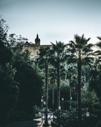 Palm trees and buildings against sky