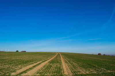 Scenic view of field against blue sky