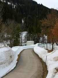 Snow covered road amidst trees during winter