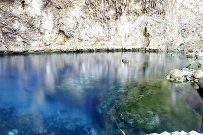 Scenic view of lake in forest