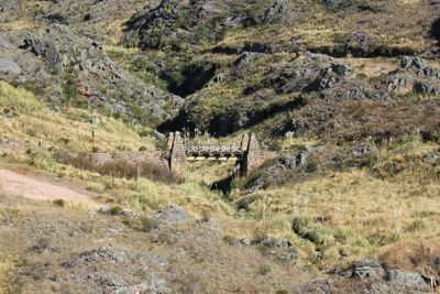 Scenic view of landscape