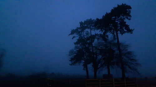 Silhouette trees against sky at night