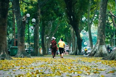 Rear view of people walking in park