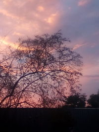 Silhouette bare trees against sky during sunset