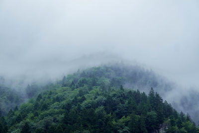 Scenic view of trees and mountains against sky