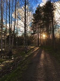 Road amidst trees in forest against sky