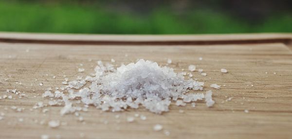 Close-up of snow on wood