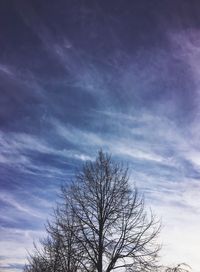 Low angle view of bare tree against cloudy sky
