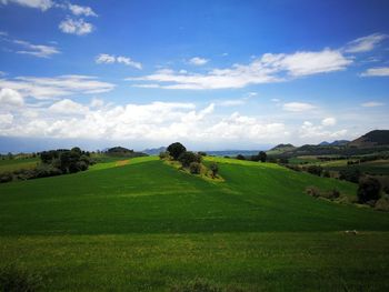 Scenic view of landscape against sky