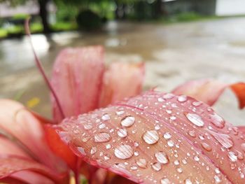 Close-up of hand with water drops