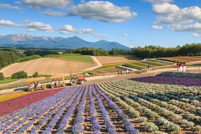 Scenic view of people navigating agricultural field against cloudy sky