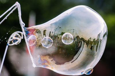 Close-up of bubble
