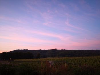 Scenic view of field against sky during sunset