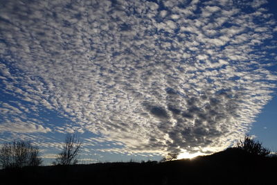 Low angle view of silhouette trees against sky at sunset