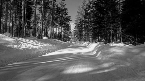 Road amidst trees against sky during winter