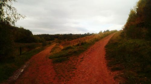 Road amidst agricultural field against sky