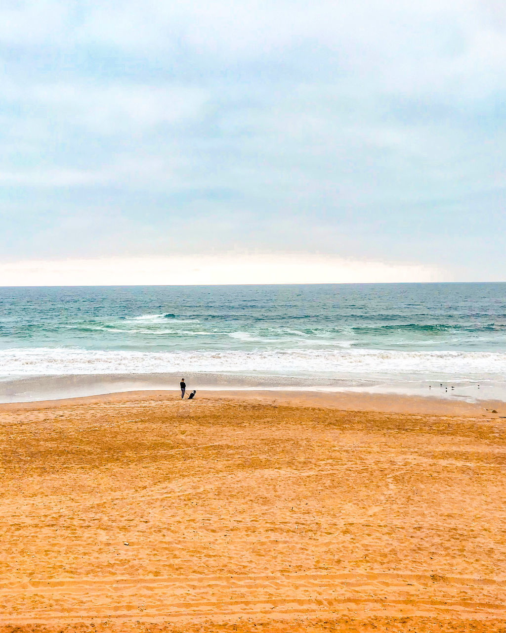 SCENIC VIEW OF BEACH BY SEA AGAINST SKY