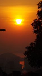 Scenic view of silhouette tree against romantic sky at sunset