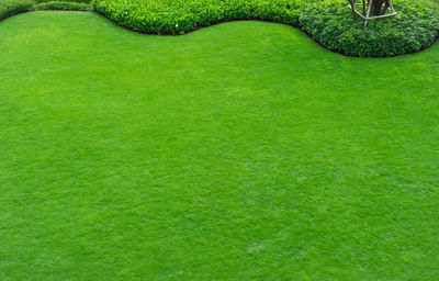 Full frame shot of green lawn