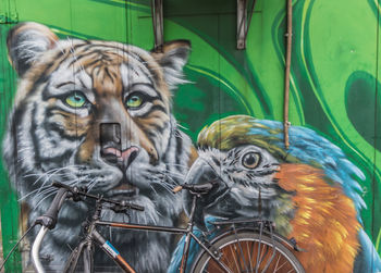 Portrait of cat with bicycle