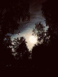 Low angle view of silhouette trees against sky at night