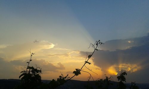Silhouette of landscape at sunset