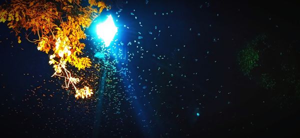 Low angle view of illuminated street light at night