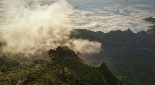 Scenic view of tree mountains against sky