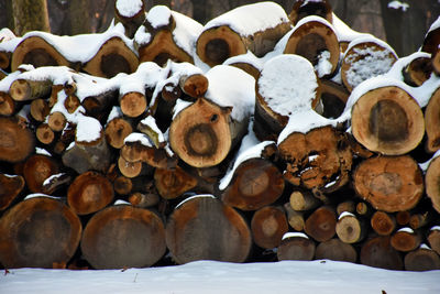 Stack of logs