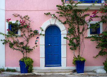 Potted plants on window of building