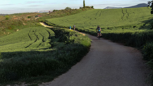 Rear view of people on footpath amidst grassy field