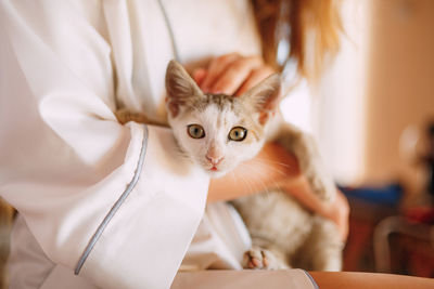 Cat on hand