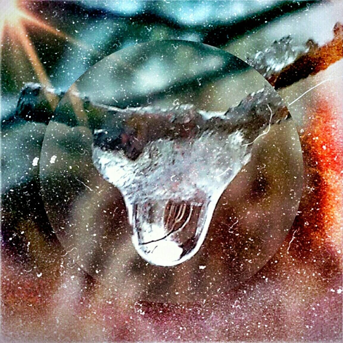 water, drop, wet, close-up, full frame, season, raindrop, transparent, focus on foreground, weather, purity, ice, detail, rain, cold temperature, glass - material, splashing, backgrounds, spider web, winter