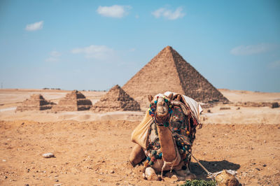 Rear view of woman standing on sand at desert