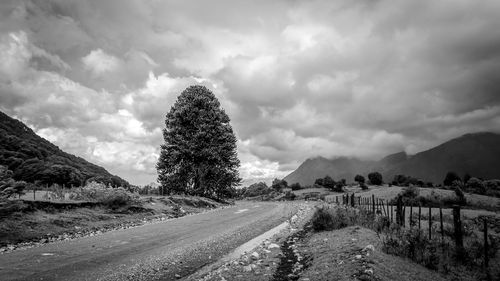 Road by trees against sky