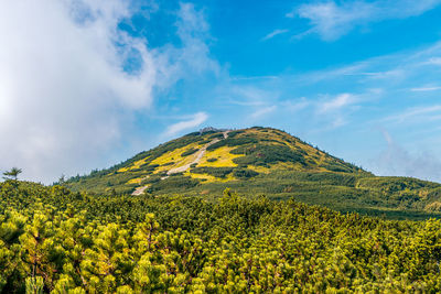 A panoramic view to babia mountain peak, beskid zywiecki mountains, poland