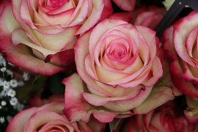 Close-up of rose bouquet