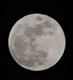 Low angle view of moon in sky