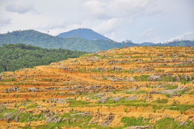 Scenic view of landscape against cloudy sky