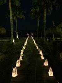 Road along trees at night