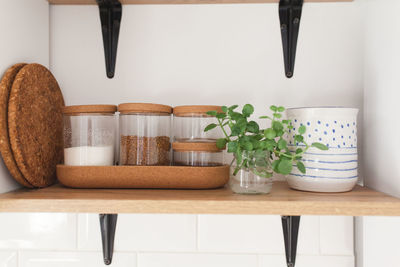 Potted plant on table at home