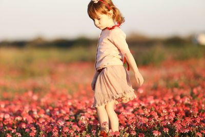 Cute girl standing amidst pink flowers on land