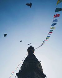 Low angle view of birds flying against clear sky