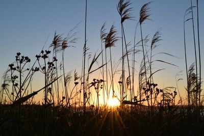 Scenic view of landscape at sunset