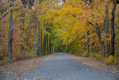 Road amidst trees during autumn