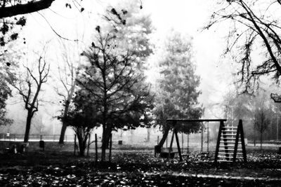 Trees in park against sky